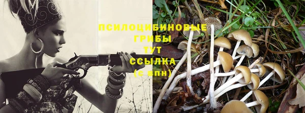 хмурый Сатка